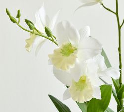 Faux Potted Mini Orchid