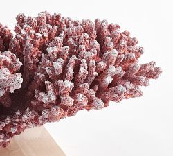 Faux Red Elkhorn Coral