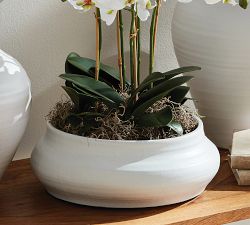 Maria Decorative Bowl