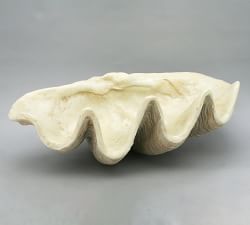 Giant Clam Decorative Object