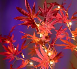 Lit Faux Japanese Maple Tree