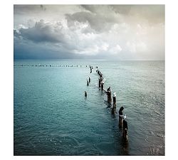 Coastal Framed Print by Cindy Taylor