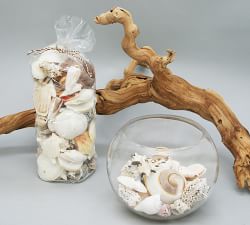 Mixed Shell Vase Filler - White