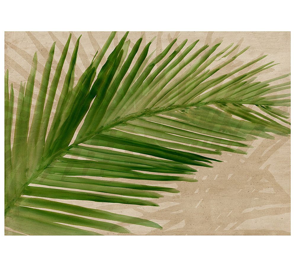 Palm Shadows Canvas