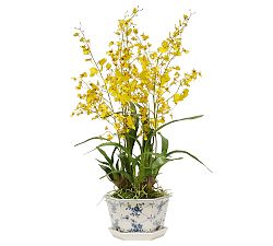 Faux Oncidium in Rose Trellis Cachepot