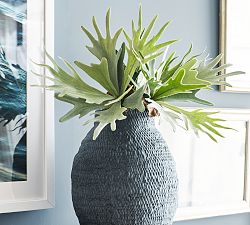 Staghorn Branch