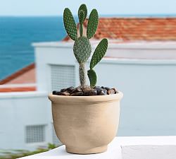 Adley Lightweight Round Planters
