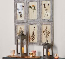 Aiden Pressed Florals Wall Art