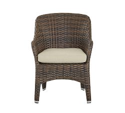 Abrego All-Weather Wicker Dining Chair, Set of 2