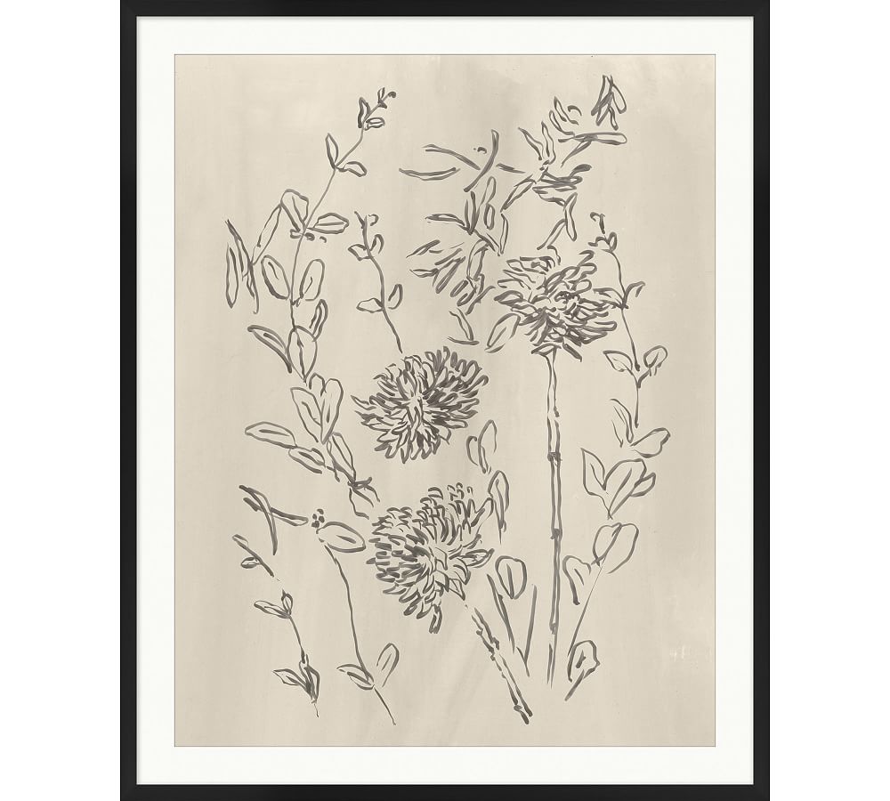 Blooming Sketch 6 Framed Print
