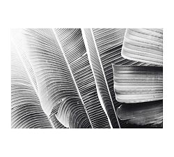 Lush Leaves by Lupen Grainne