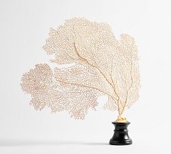Faux Peach Fan Coral