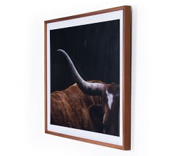 Longhorn Lull Framed Print