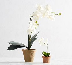 Faux Orchid