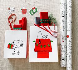 Peanuts&#8482; 19-Piece Holiday Gift Wrapping Set