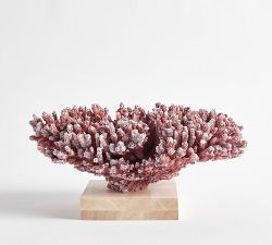 Faux Red Elkhorn Coral
