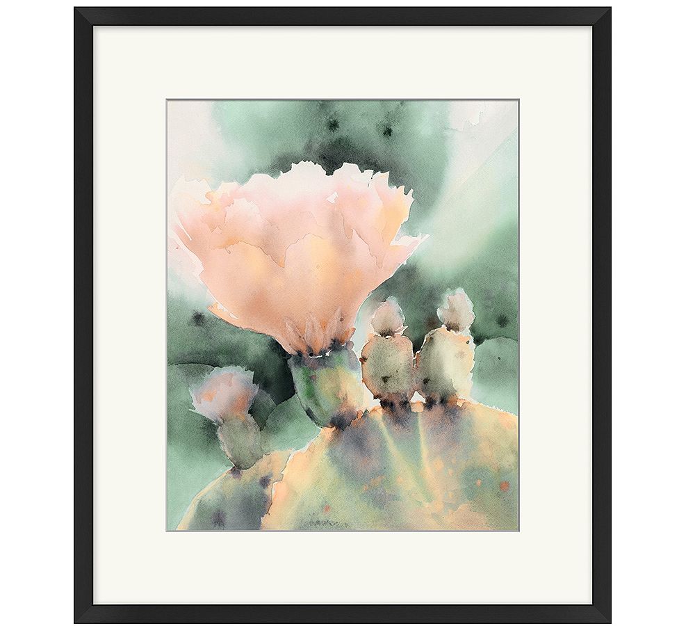 Desert Blossom