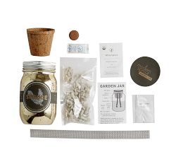 Modern Sprout Spruce Evergreen Growing Kit