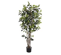 Faux Potted Ficus Bushy Tree