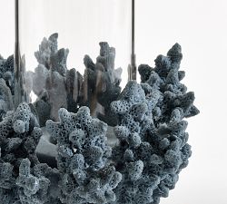 Coral Candle Holders
