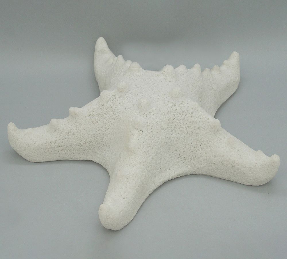 Open Box: Decorative Lit Frosted Glass Starfish