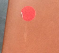 Open Box: Hardy Backless Leather Counter Stool (24&quot;) - Bronze/Saddle Tan Leather