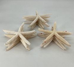 Open Box: Linka Starfish, Set of 8