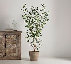 Faux Ficus Benjamina Tree
