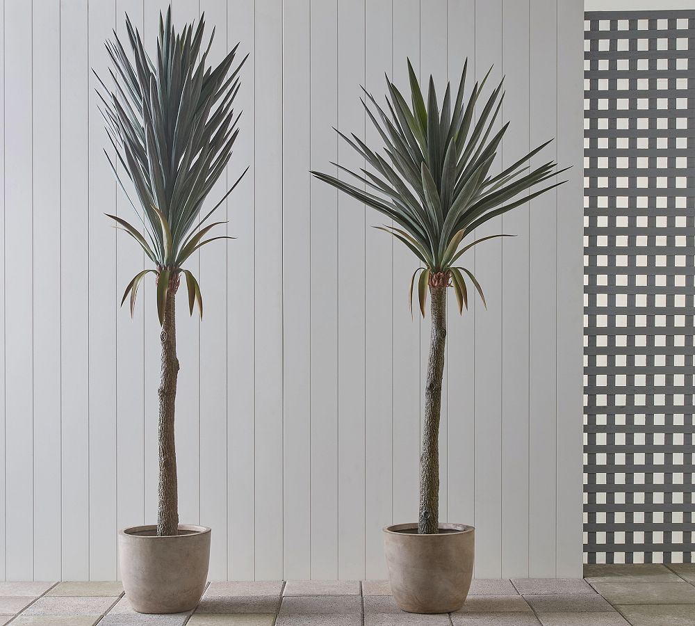 Palm Springs Faux Yucca Trees