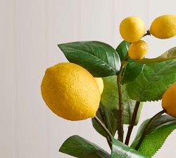 Faux Composed Lemon Branch Arrangements, Set of 2