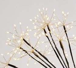 Americana Firework Orb