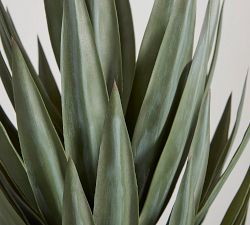 Faux Potted Coachella Valley Yucca Tree