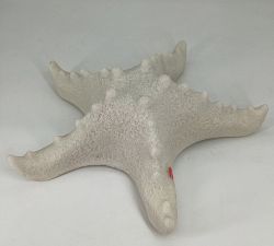Open Box: Decorative Lit Frosted Glass Starfish