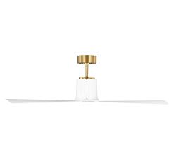 Raine Indoor Ceiling Fan (52-66&quot;)