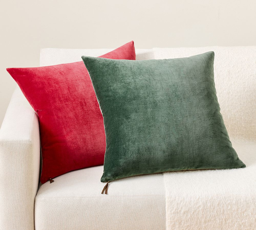Icon Velvet Pillow