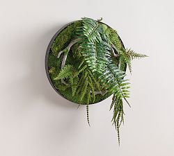 Moss And Ferns Mixed Wall Art