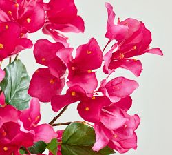 Faux Potted Bougainvillea