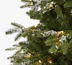 Lit Flocked Grand Teton Faux Christmas Tree