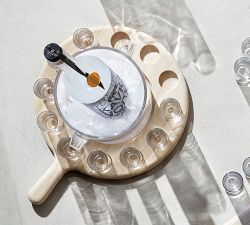 Party Paddle 12 Shot Glass Set with Ice Bucket