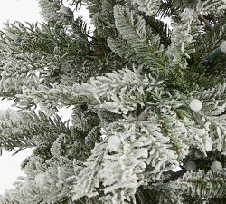 Lit Slim Flocked Nova Scotia Spruce Faux Christmas Tree