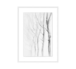 A Winter Perspective Framed Print