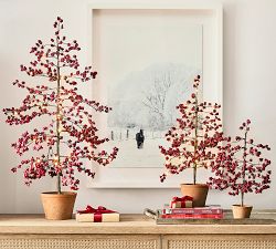 Winter Stallion Framed Print