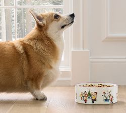 Charlie Brown™ Christmas Pet Bowl