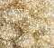Gold-Glitter