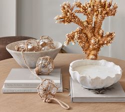 Artisan Studio Shell Candle Collection - White Fig