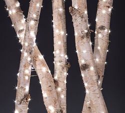 Micro LED String Lights On Gold Wire