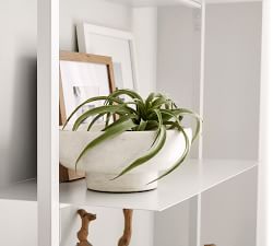 Faux Tillandsia Succulent Stem