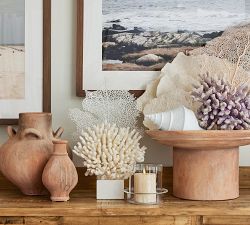 Faux Peach Fan Coral