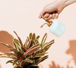 Modern Plant Mister &amp; Pruning Shears - Set of 2