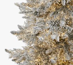Lit Flocked Grand Northern Rocky Fir Artificial Christmas Tree